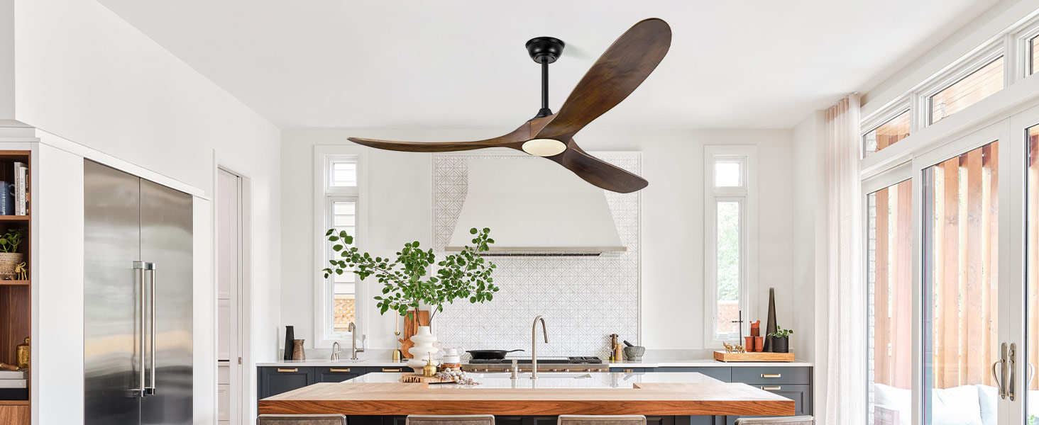 ceiling fan with light