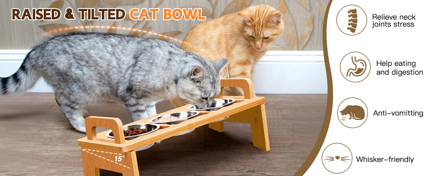 cat bowl