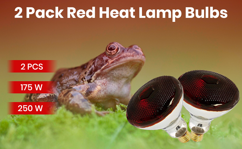 BULBMASTER 175 Watts PAR38 Red Heat Lamp for Chickens Infrared Light