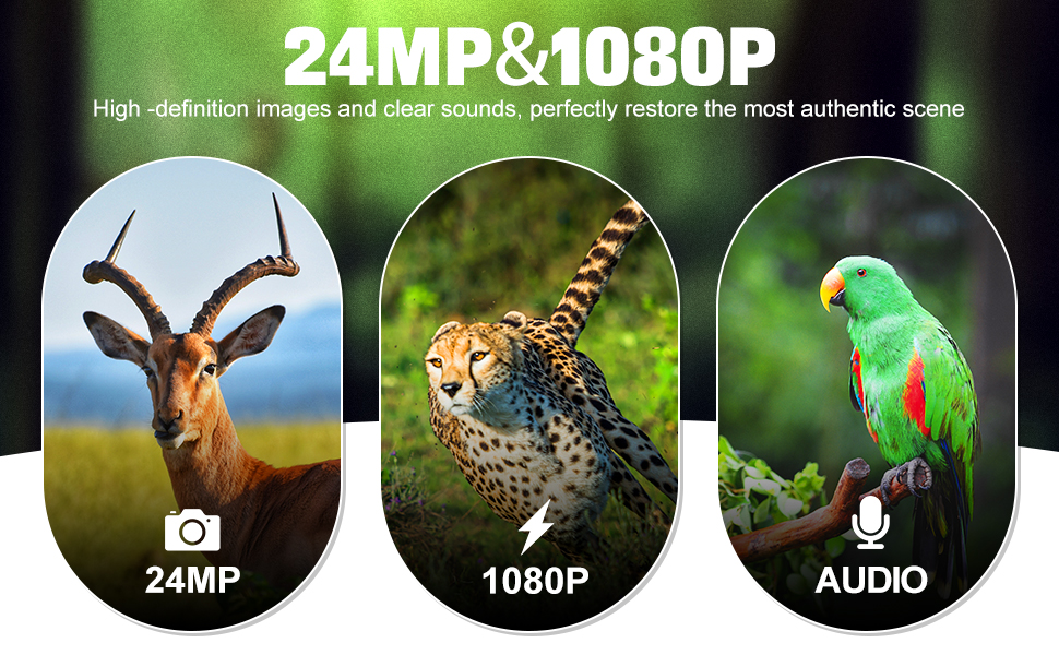 Camera feature advertisement showing three circular panels highlighting 24MP photography, 1080P video, and audio recording capabilities with wildlife examples.