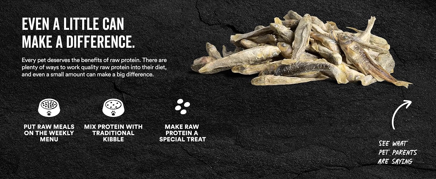 Cat: Even a little can make a Difference