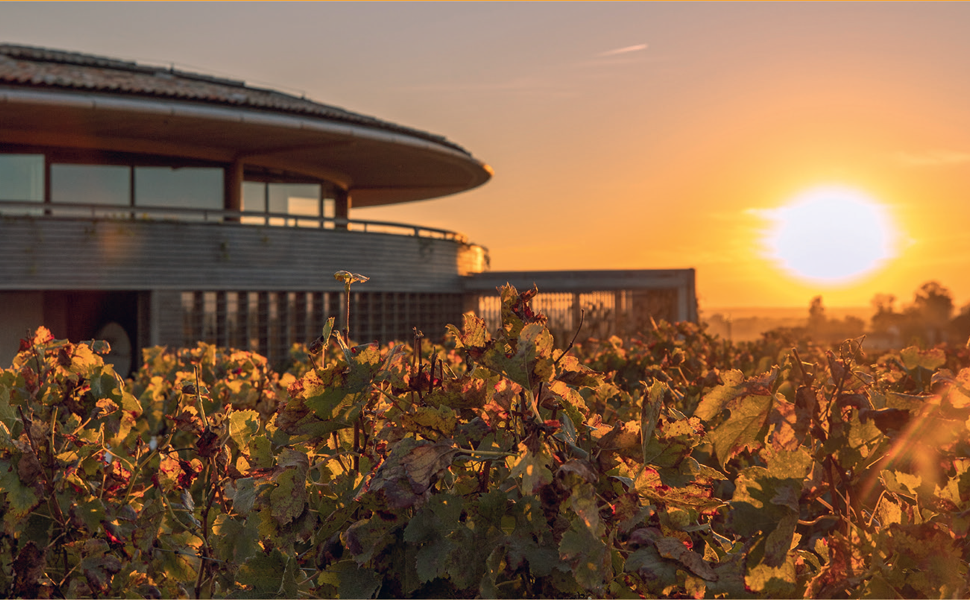 Complete Bordeaux: 4th edition: 4th edition: The Wines, The