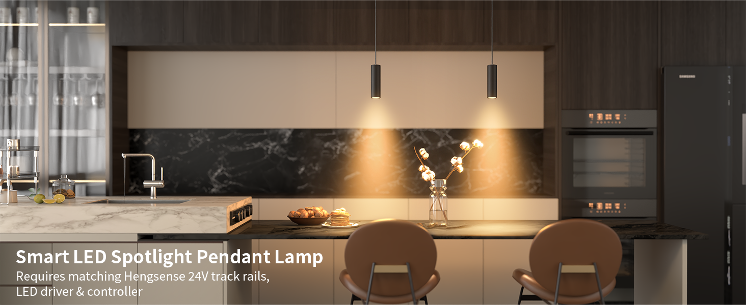 Spotlight Pendant Downlight