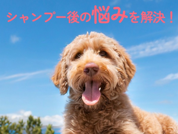 Amazon | DOG One ペットドライヤー 犬 ブロワー 業務用