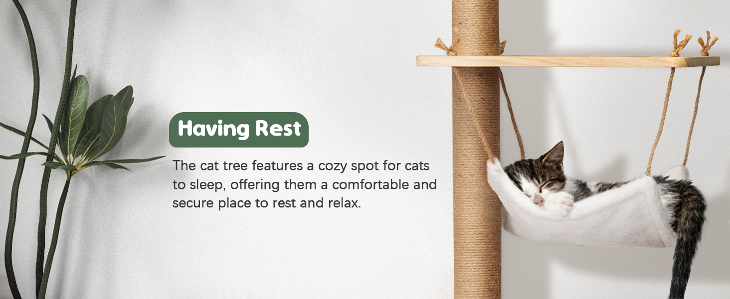cat tree