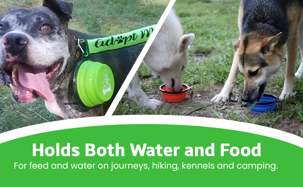  Perfect Foldable Travel Bowls for Journeys, Hiking, Kennels & Camping