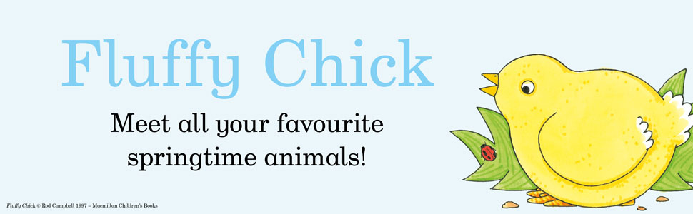 Fluffy Chick, Rod Campbell, Macmillan Children's Books