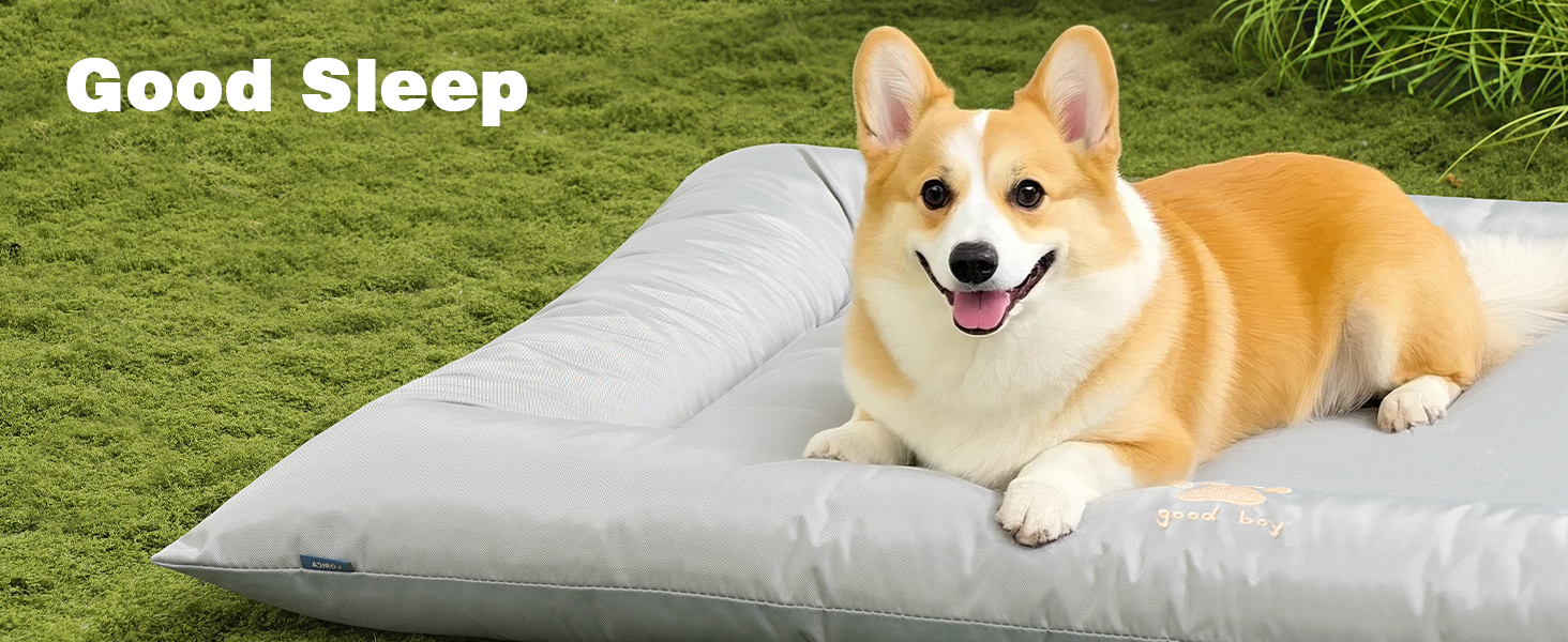 durable dog bed