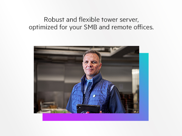 Robust and flexible tower server