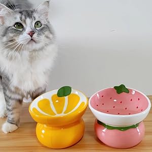 ceramic cat bowl