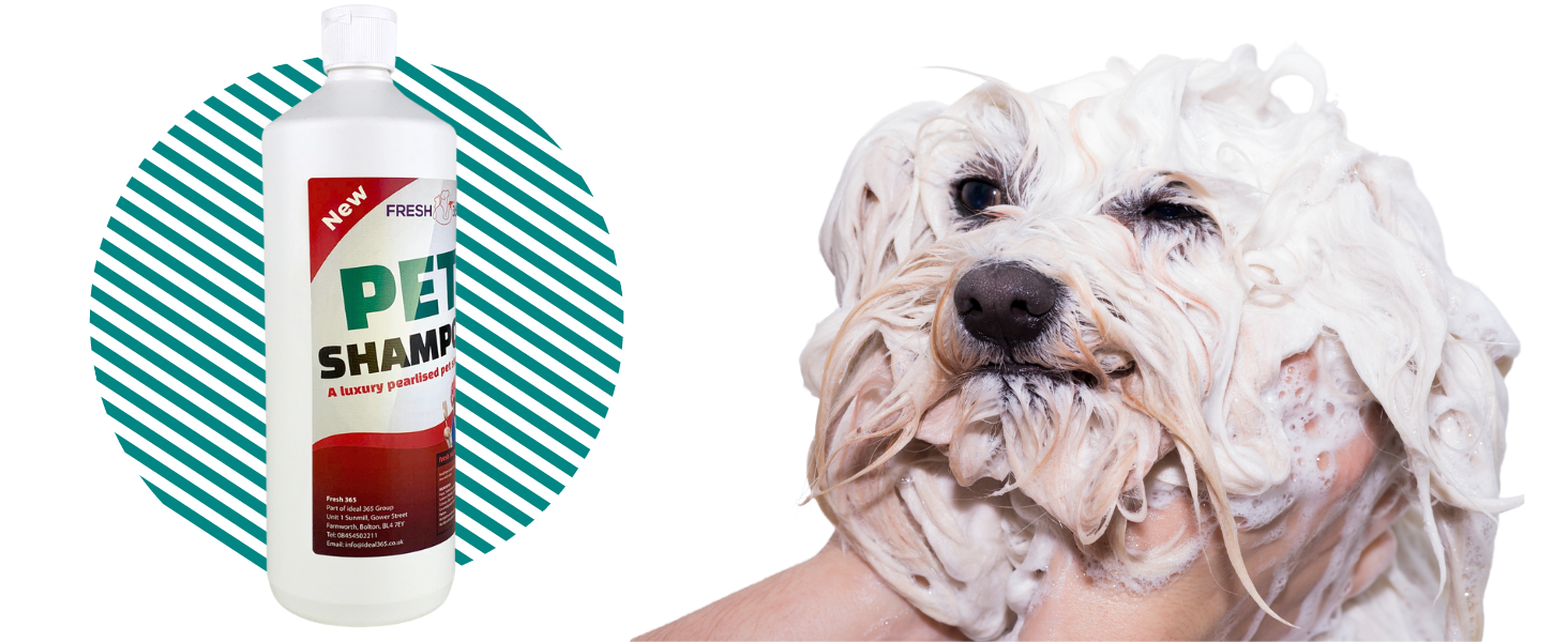 Super Fresh Smelling Pet Shampoo (1 litre) Pet Shampoo and Lathered Dog