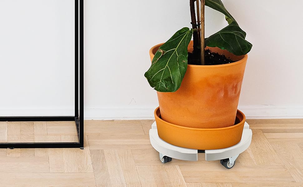 PINGEUI Pflanzenroller Rund Ø 4050cm, Tragkraft 150 KG Pflanzen