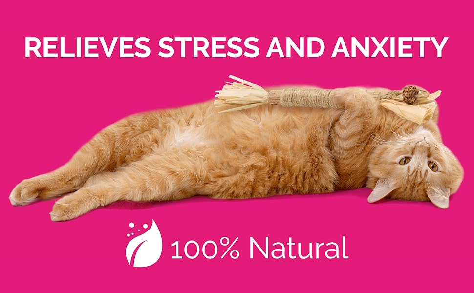 RYERCAT Silvervine Sticks for Cats AllNatural Cat Chew Toy for Aggressive Chewers, Kitten