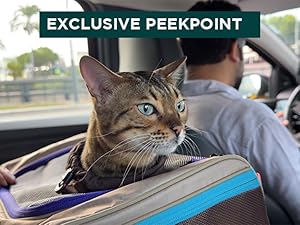 Bengal cat in soft-sided pet carrier with Peekpoint window, ideal for car travel with cats or dogs.