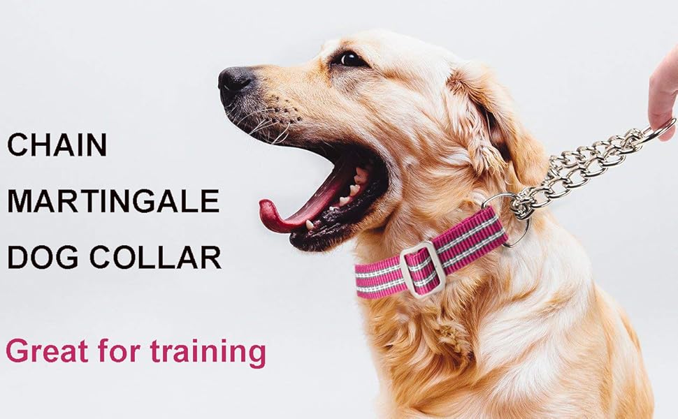 Martingale chain dog collar
