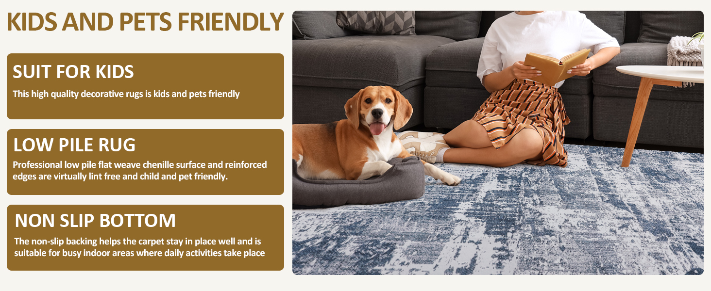 HOMBYS Large 10x14 ft Area Rug for Living Room and Bedroom, Non-Slip Backing, Modern Home Decor, Machine Washable, Ch F470cb38 Aebe 4f06 B86c B90aa04729ce. CR0,0,1464,600 PT0 SX1464 V1