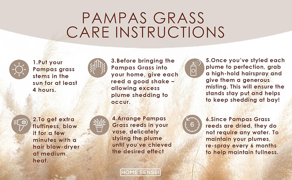 Pampas Grass Care Instructions