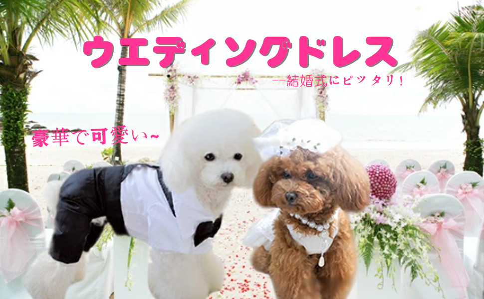 Amazon | Yurika 犬 ウエディングドレス 手作り犬服 華やか