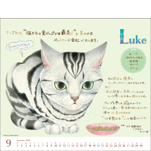 Amazon.co.jp: 2025 ミニカレンダーナーゴの猫たち プレミアム