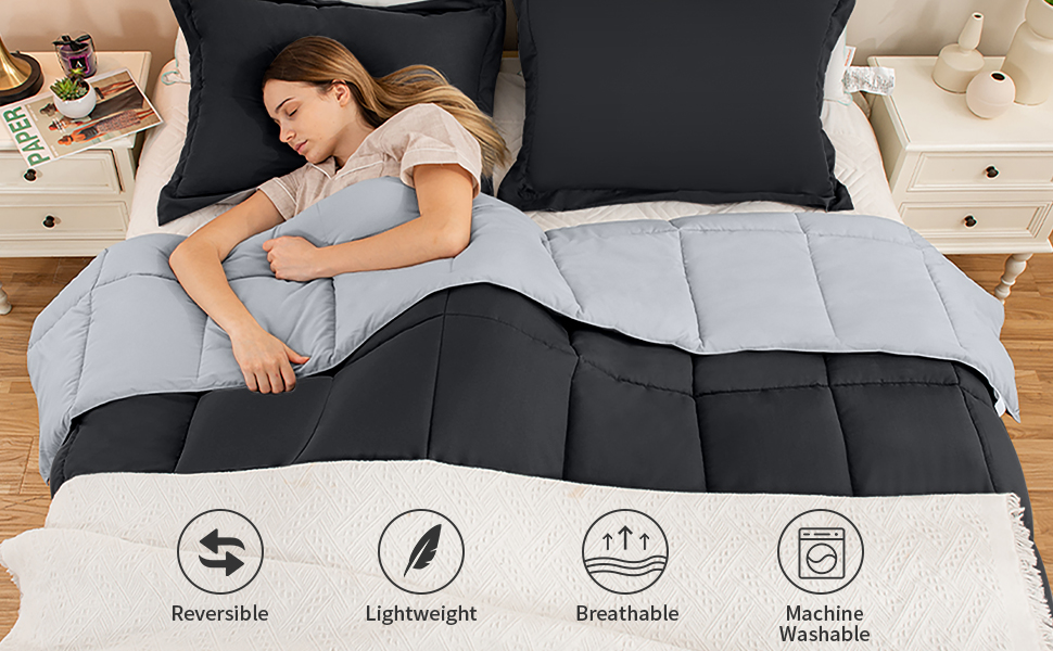 Homelike Moment Lightweight Comforter Set Twin Reversible All Season