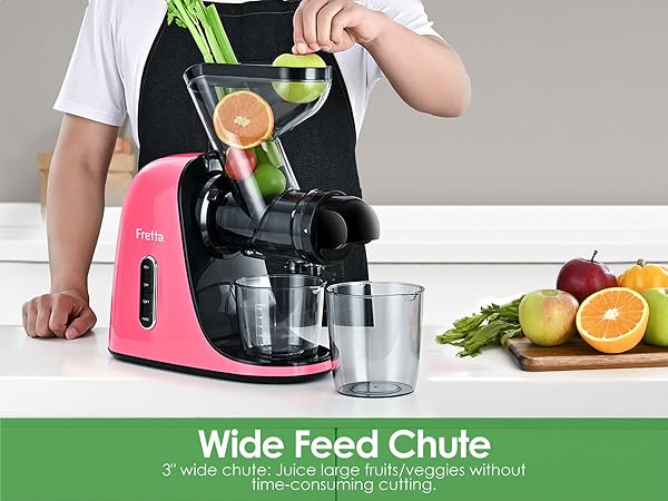 Amazon.com: Fretta Slow Juicers, Cold Pressed Juicer Machine