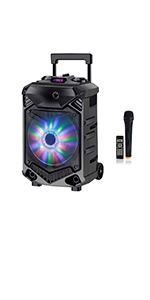 Shinco karaoke speaker