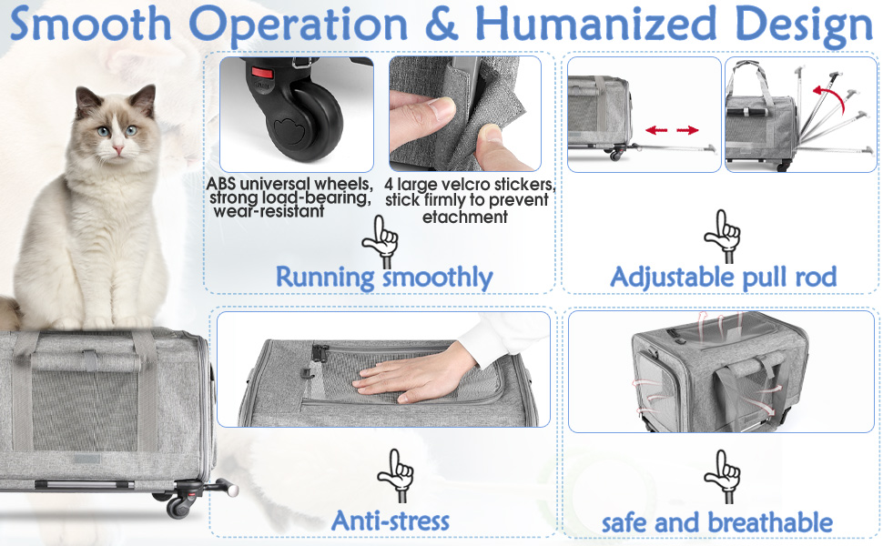 Pet Carrier for Medium Cats or Puppy Under 20LBS TSA Delta