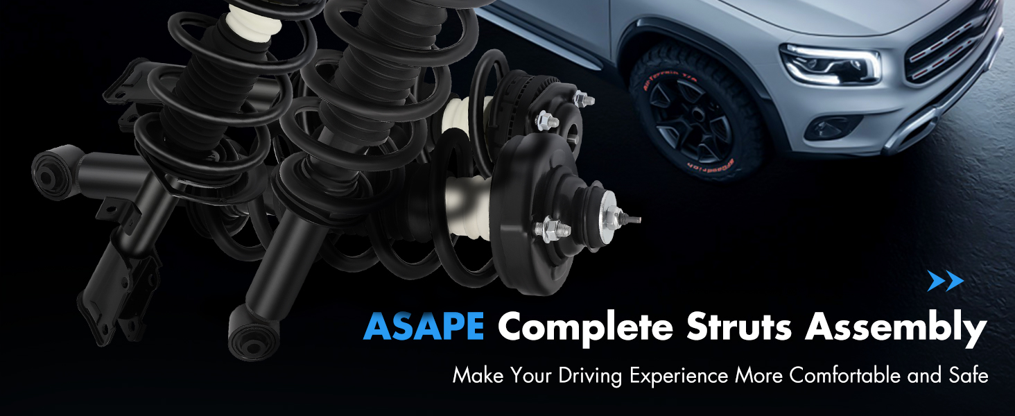 Complete Struts Assembly