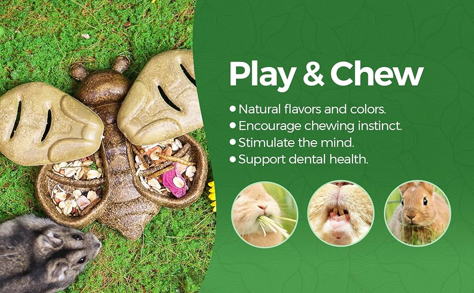 edible feeder doubles as a delicious chew