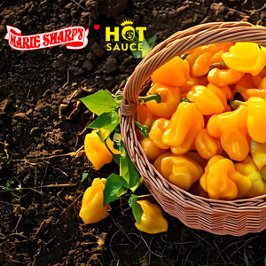 Small manufacture image 4