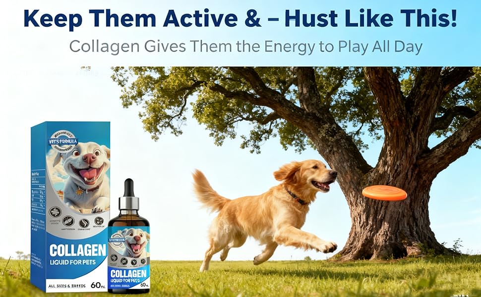 Collagen for Dogs 04