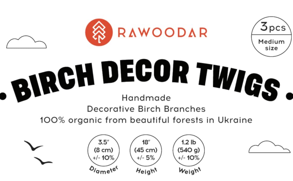 RAWOODAR 100 Natural Birch Twigs 17 Inch Dried Plants