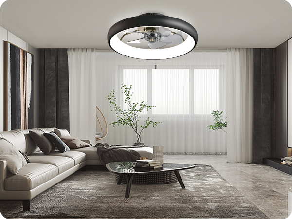 Ceiling Fans with Lights and Remote