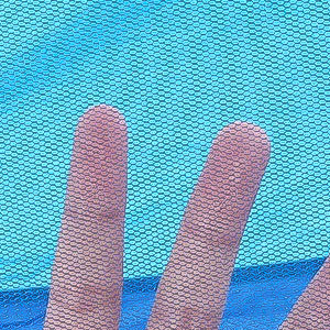 hammock with net