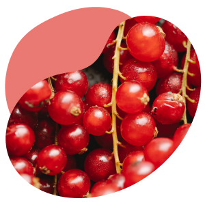 eisentabletten eisen hochdosiert kapseln eisenmangel gummibärchen tabletten iron supplement