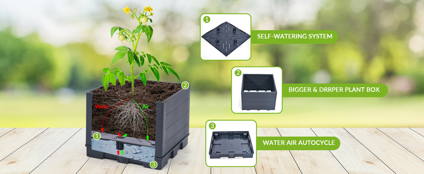 Raised Garden Bed with Tomato Planter Box Trellis