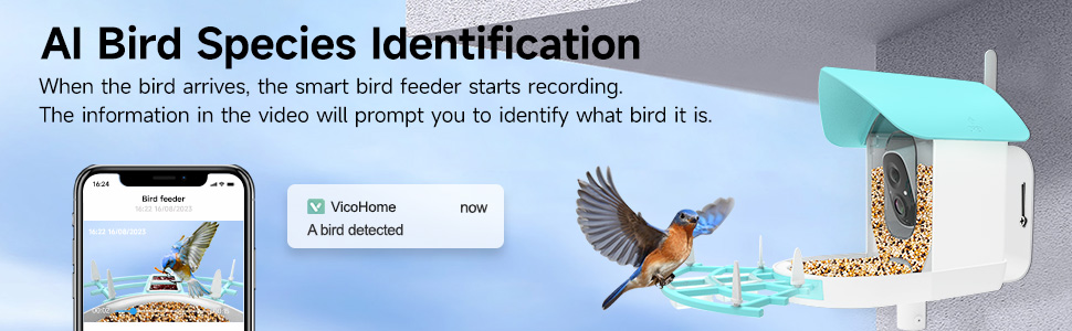video bird feeder