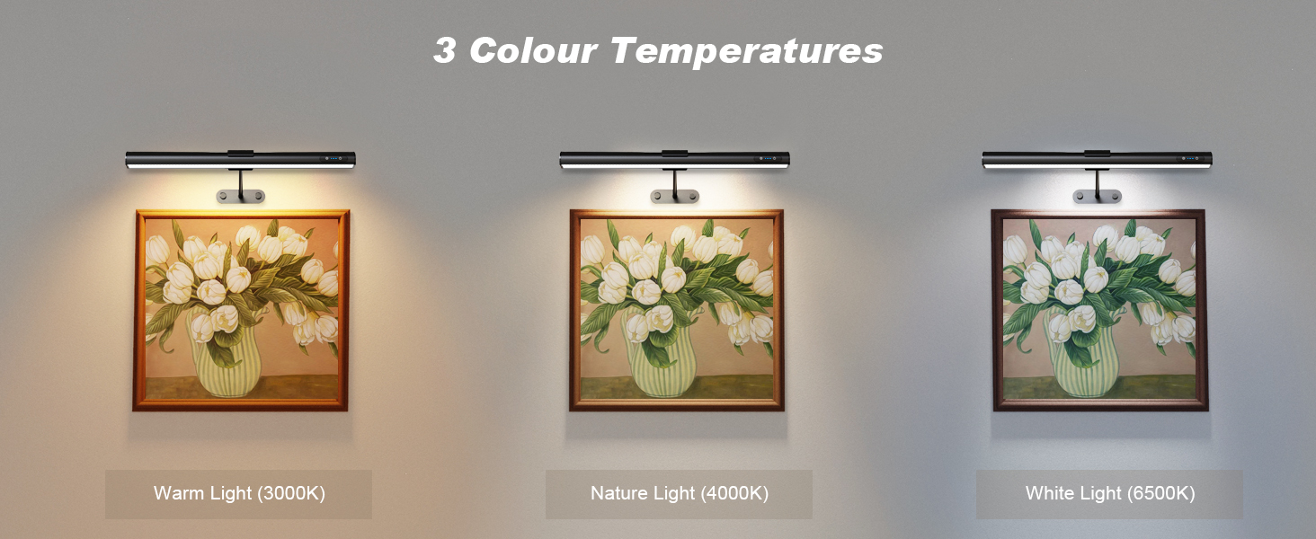 wireless picture light with remote