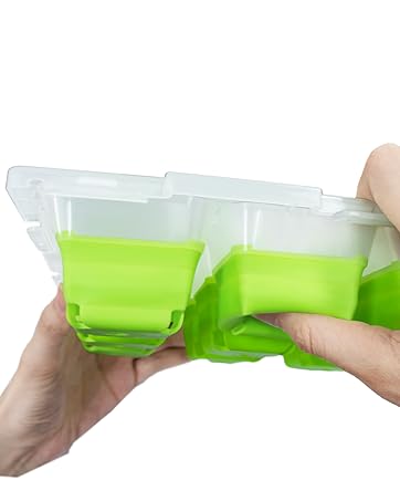 seed sprout tray