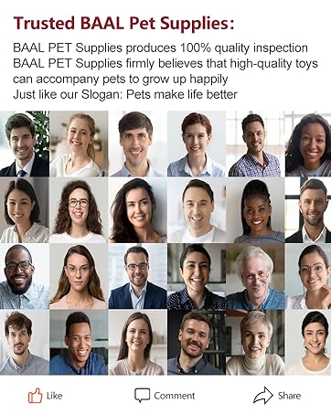 BAAL Pet Supplies
