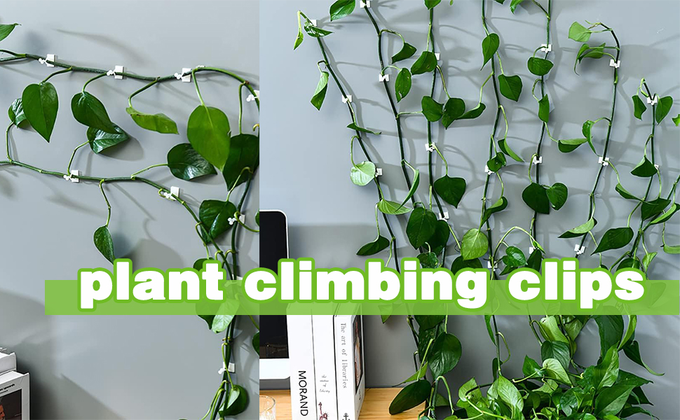 Tmofs 100Pcs Plant Climbing Wall Fixture Clips,Plant Fixer
