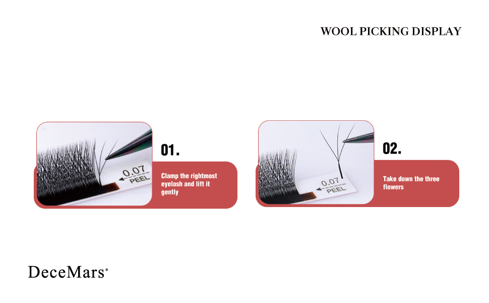 3D Eyelash extension