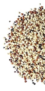 Organic Tri-color Quinoa by food to live