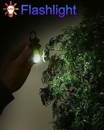 FLASHLIGHT ALARM