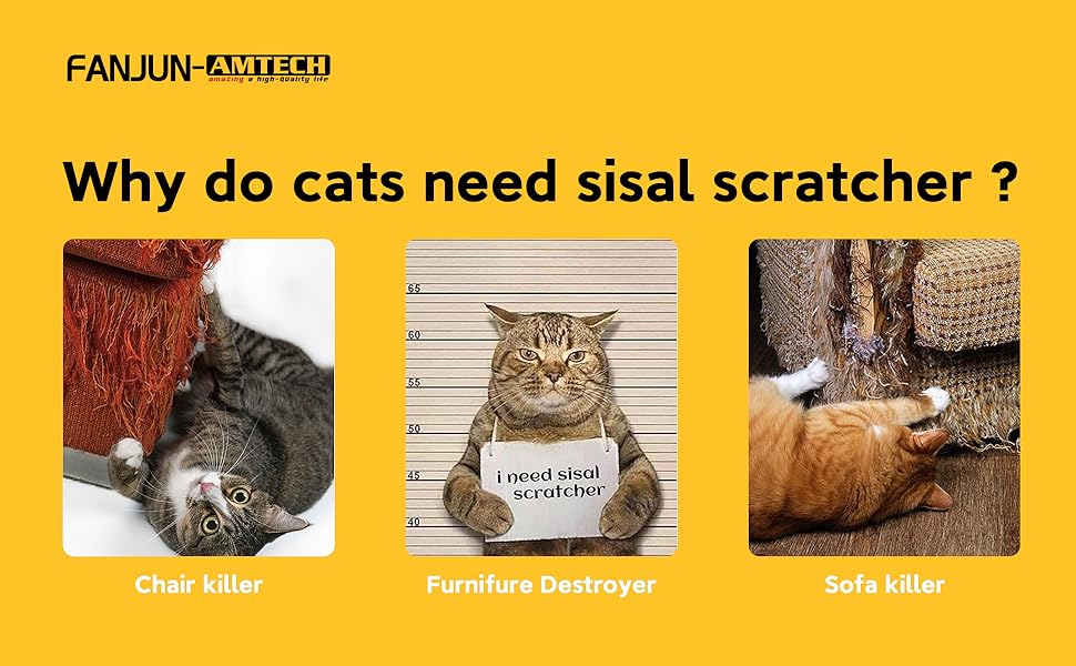 Cardboard cat Scratcher