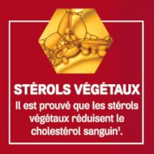 Stérols Végétaux