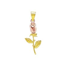 gold rose 