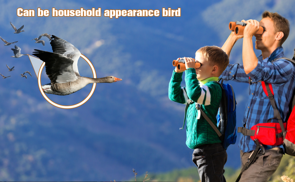 binoculars for bird  watching night vision binoculars kids binoculars bushnell binoculars