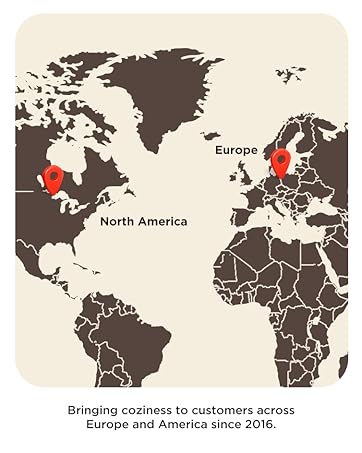 Text reads 'North America' and 'Bringing cosiness to customers across Europe and America since 2015.' World map illustrations with highlighted regions in brown and beige tones.