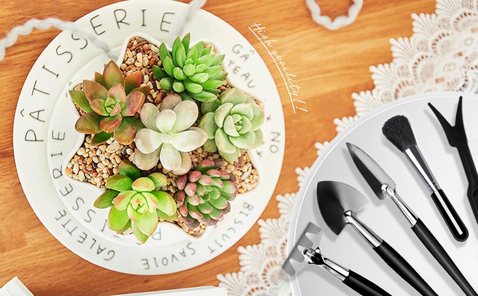 ferramentas suculentas